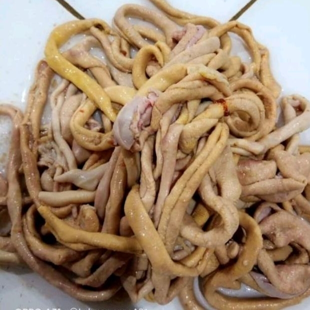 

usus ayam