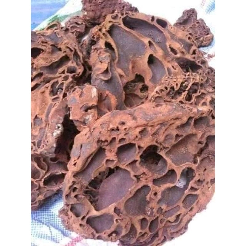 

[ RI Promo ] Sarang semut Kering asli papua 100 gram