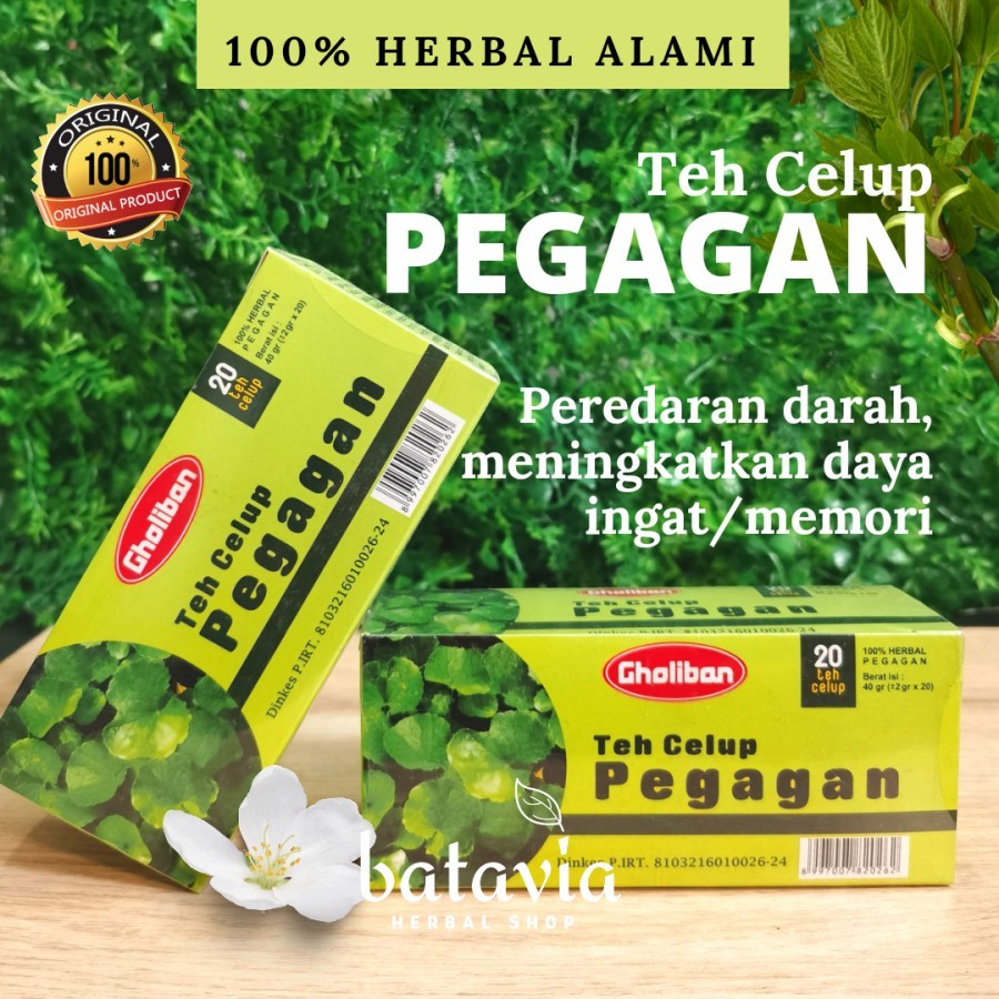 

Teh Celup Pegagan Gholiban Teh Centella Asiatica Teh Antanan Original