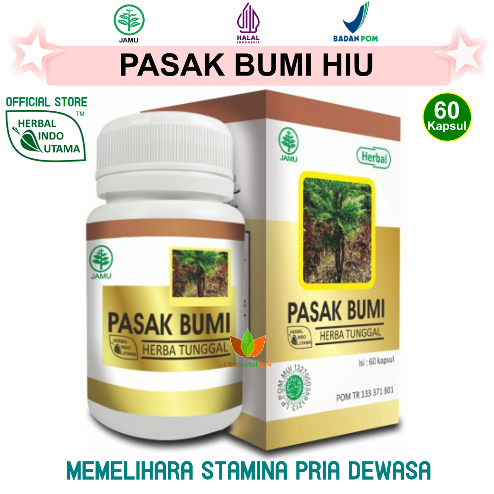60 KAPSUL PASAK BUMI HIU HERBAL INDO UTAMA JAMU OBAT PRIA DEWASA VITALITAS, Tongkat Ali Tongli