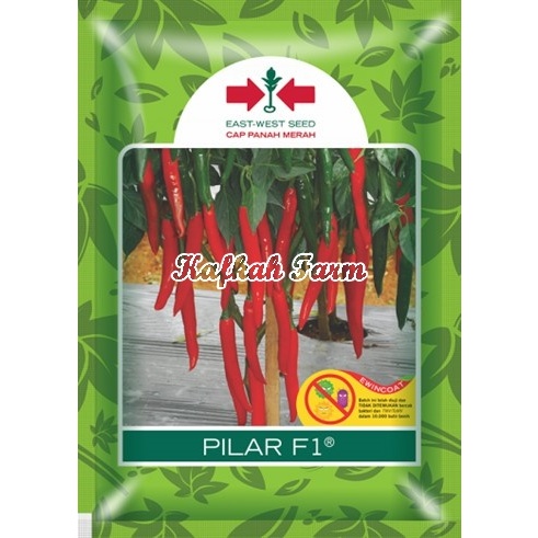 Benih 5 Biji Cabe Besar PILAR F1