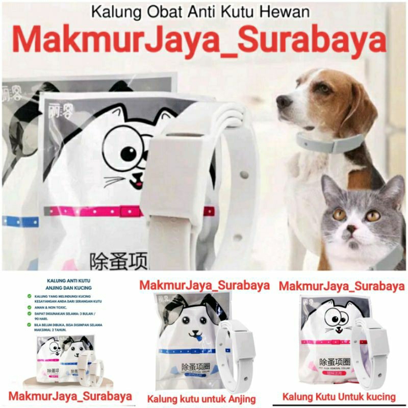 Kalung kutu kucing / kalung anti kutu kucing / aksesoris kucing / obat kutu kucing