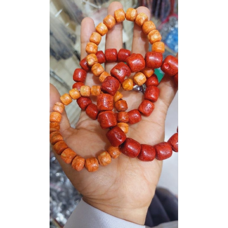 marjan red coral