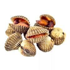 

KERANG DARA FRESH _ 1 KG