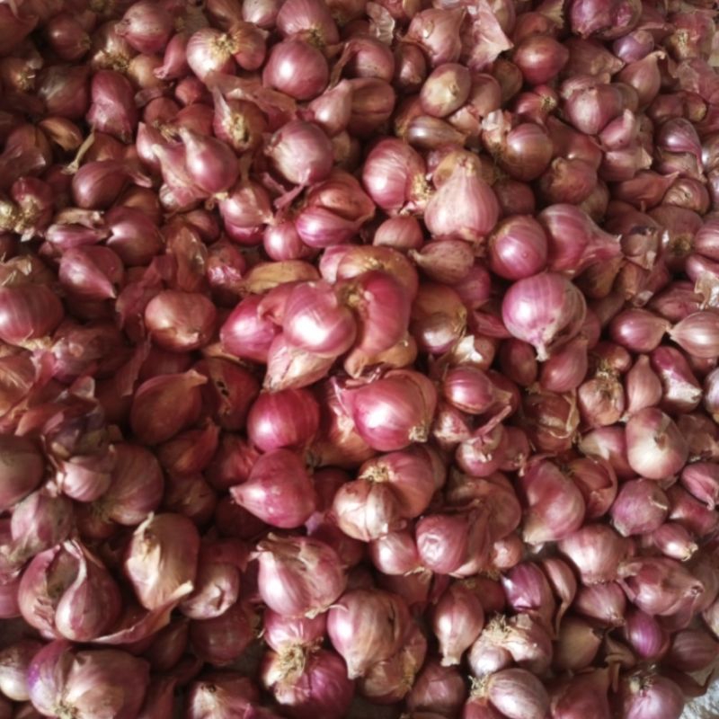 

BAWANG MERAH SETENGAH KILO