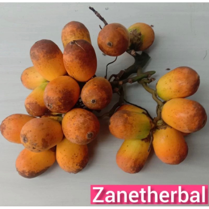 

Buah pinang tua segar organik 1 kg-az