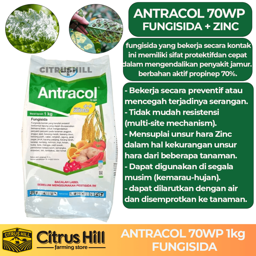 PROMO ANTRACOL 1kg - FUNGISIDA OBAT HAMA JAMUR PADI CABE TANAMAN HIAS