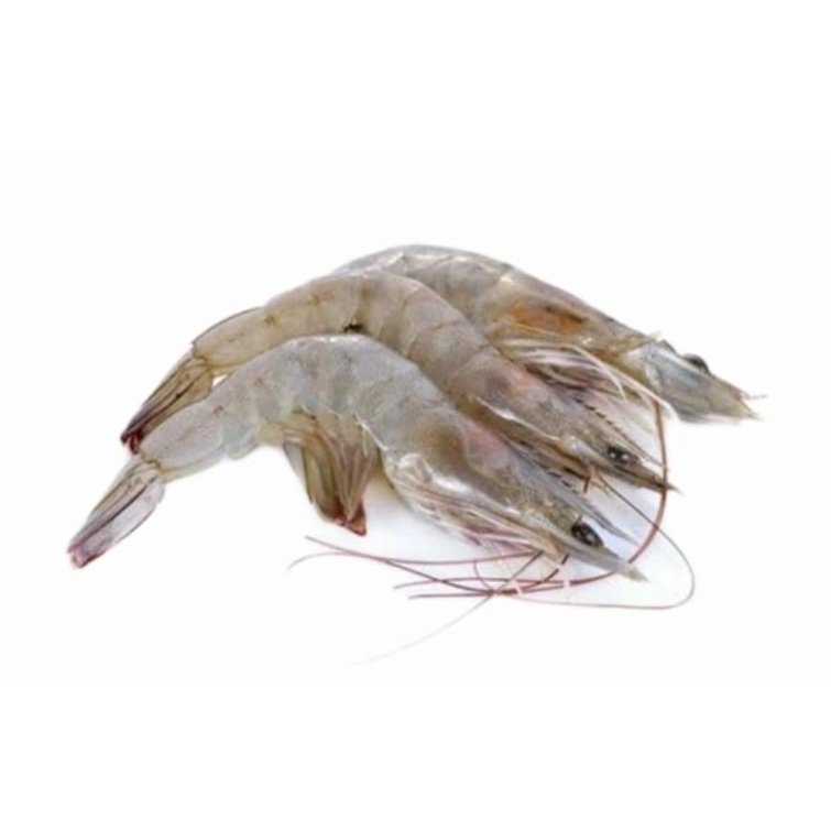 

Udang 250 gram