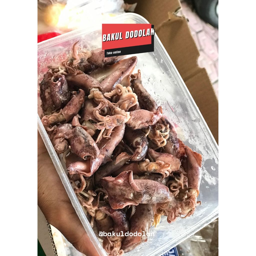 

Cumi Asin Baby Kecil Utuh Premium Beku Frozen