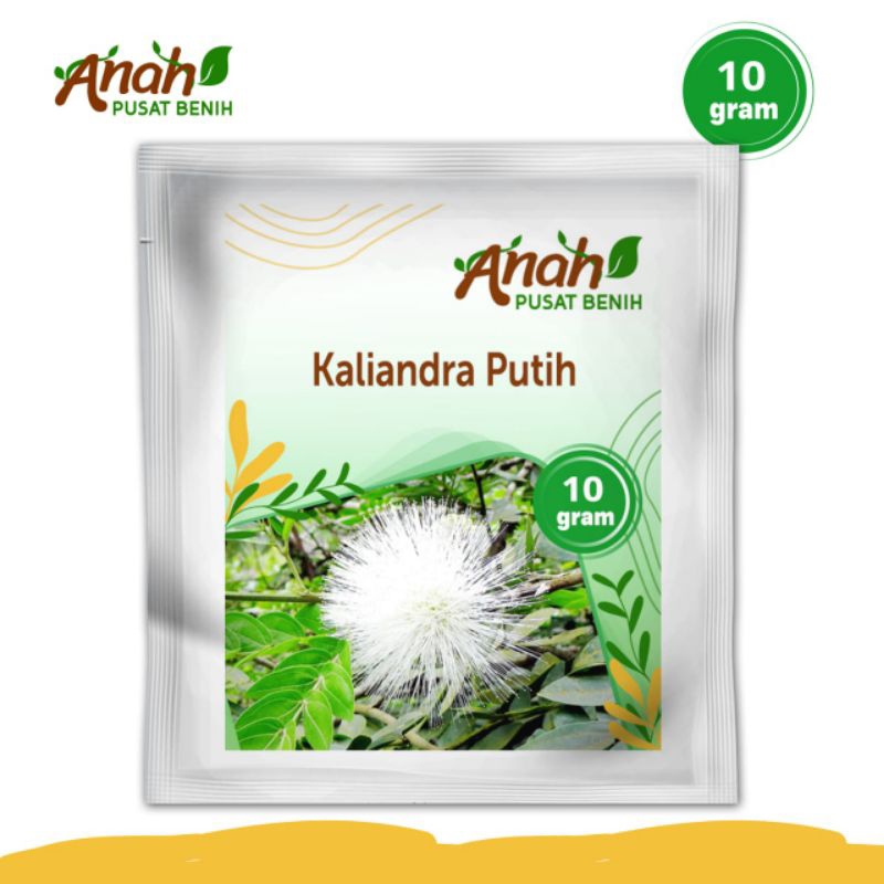Benih kaliandra putih / bibit pakan ternak unggul