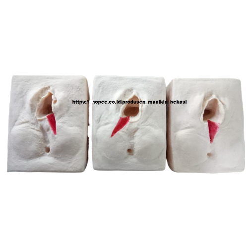 Manikin Episiotomy Model / Manikin Phantom / Suture Simulasi Training