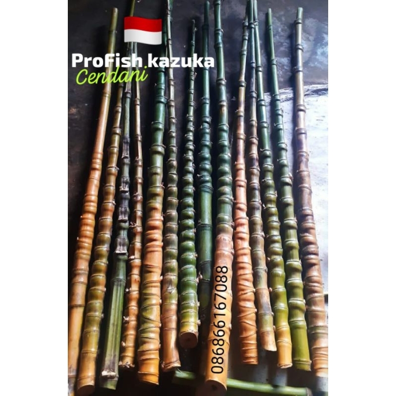 CENDANI gagang pancing mantah SISIK NAGA & GM RANDOM