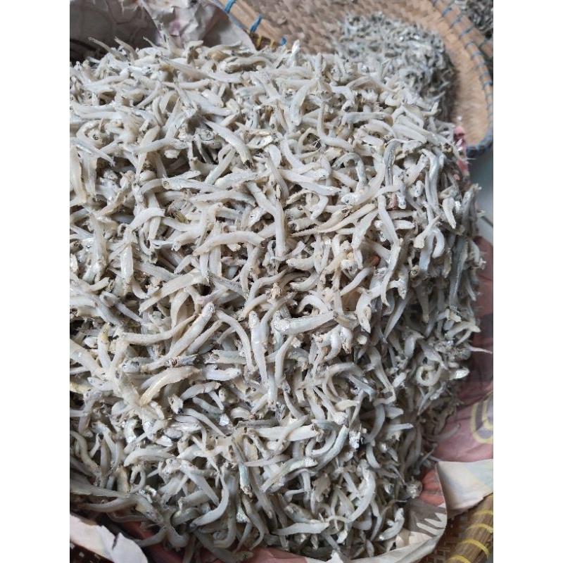 

teribuntio