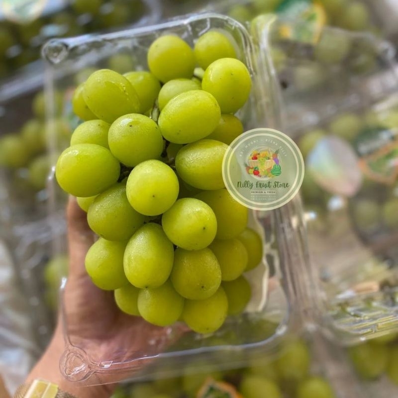 

Anggur Hijau Shine Muscat 500 gram