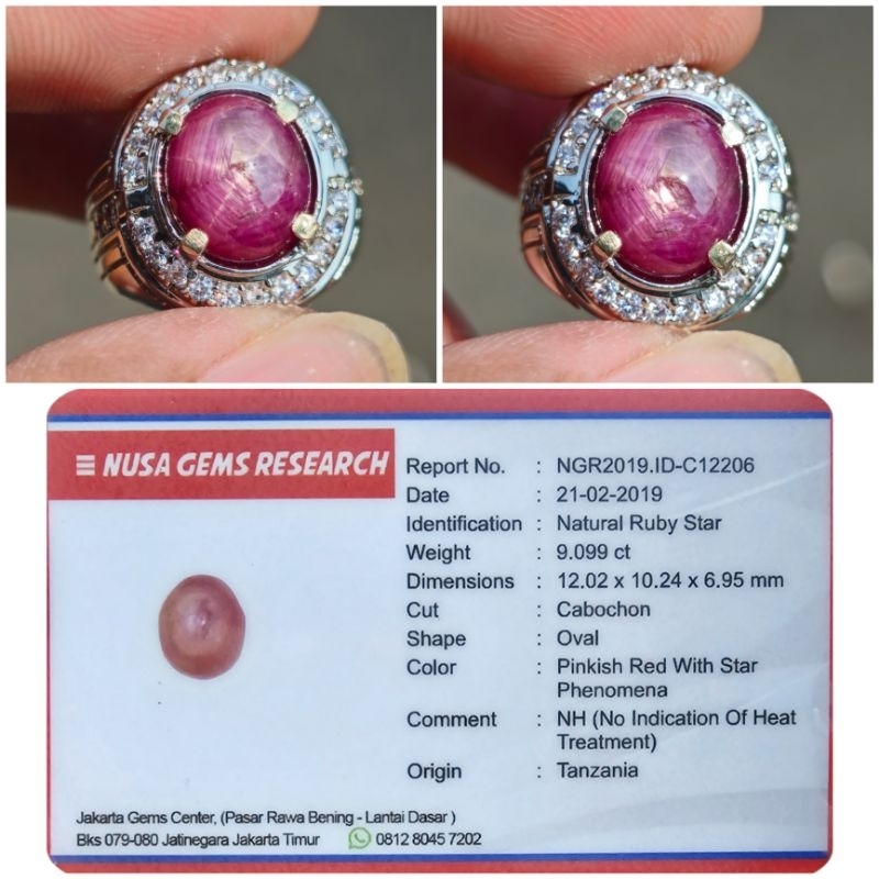 Cincin Permata Batu Natural Ruby Star Plus Memo Lab