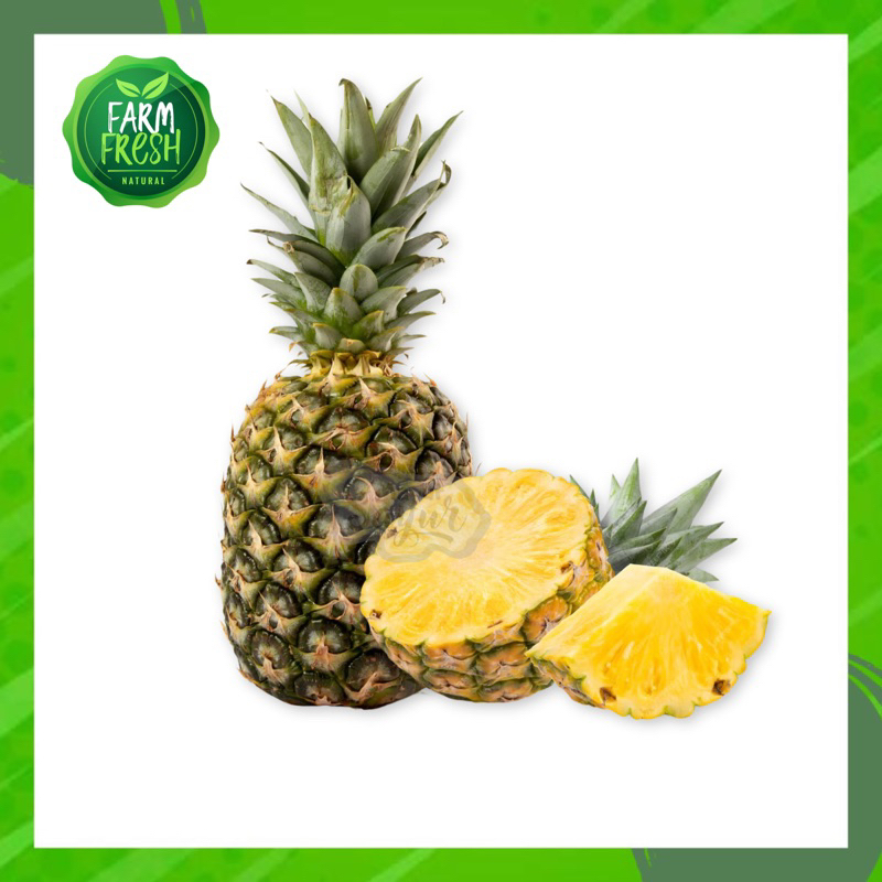 

KIRIM INSTAN Buah Nanas / Nenas / Per Biji