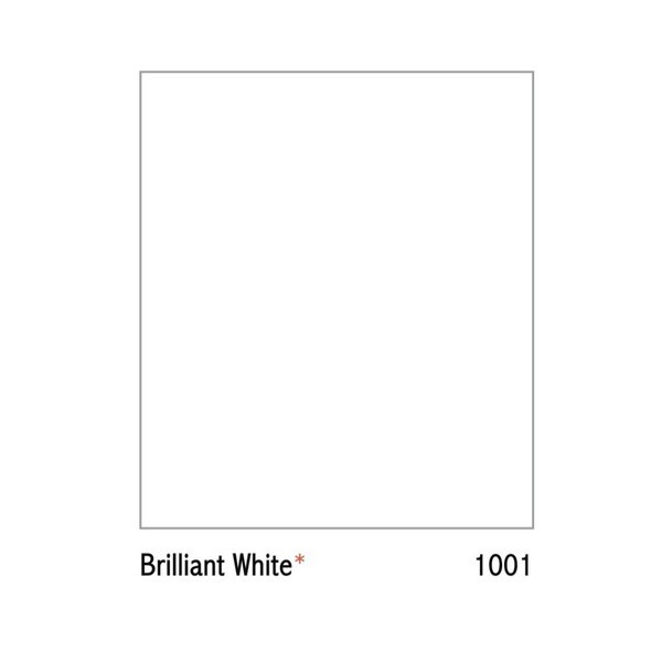 CAT TEMBOK INTERIOR NIPPON PAINT - BRILLIANT WHITE/1001