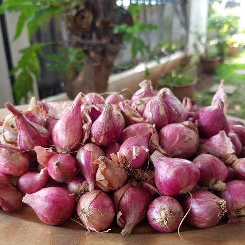 

Bawang Merah SUPER Shallots 1 kg
