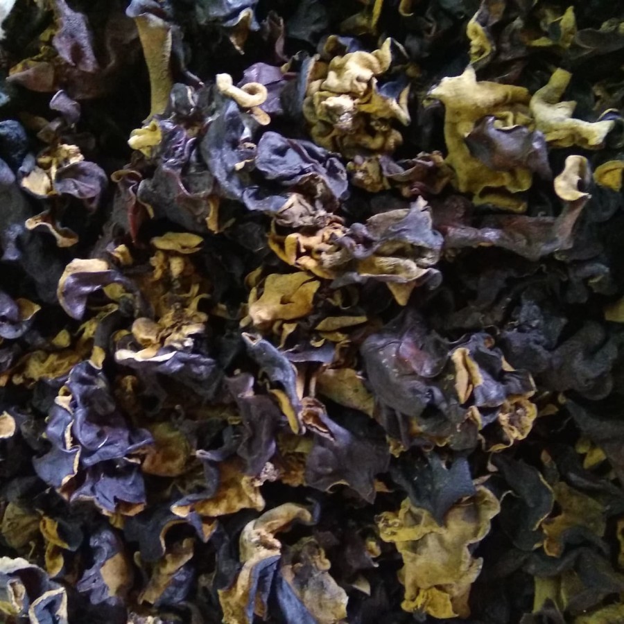 

Jamur Kuping Curah Segar Organik 1 Kg