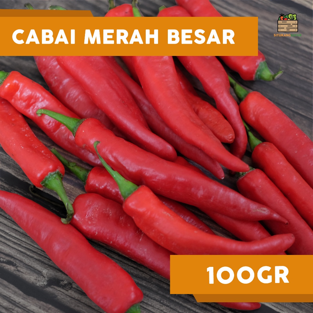 

Cabai Merah Besar | 100GR (Kota Bandung & Sekitar)