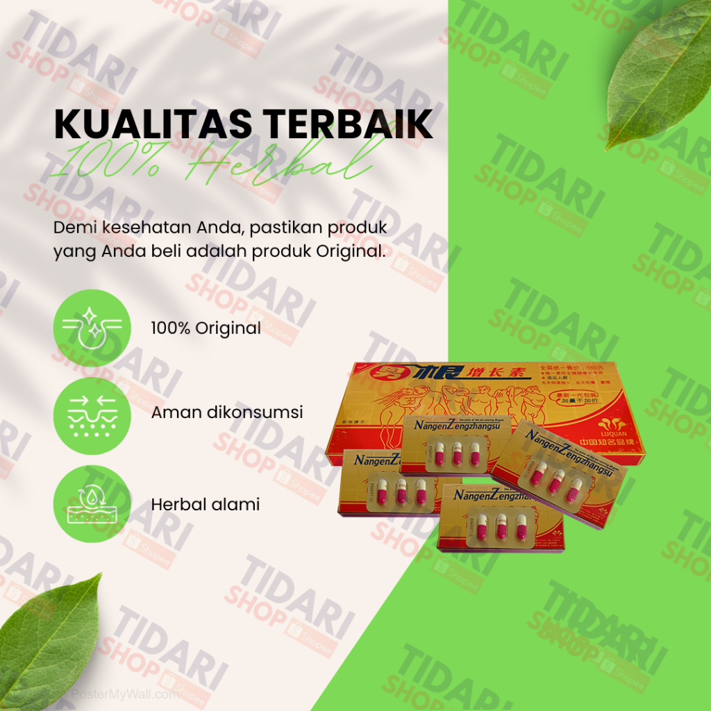 Nangen Zengzhangsu Kapsul Original Obat (Kuat) Herbal