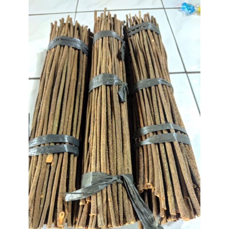 Tangkringan Burung Konin Pleci Kayu Asam Bali Grade A Tangkringan Asam Bali Burcil Tamgkringan koni 