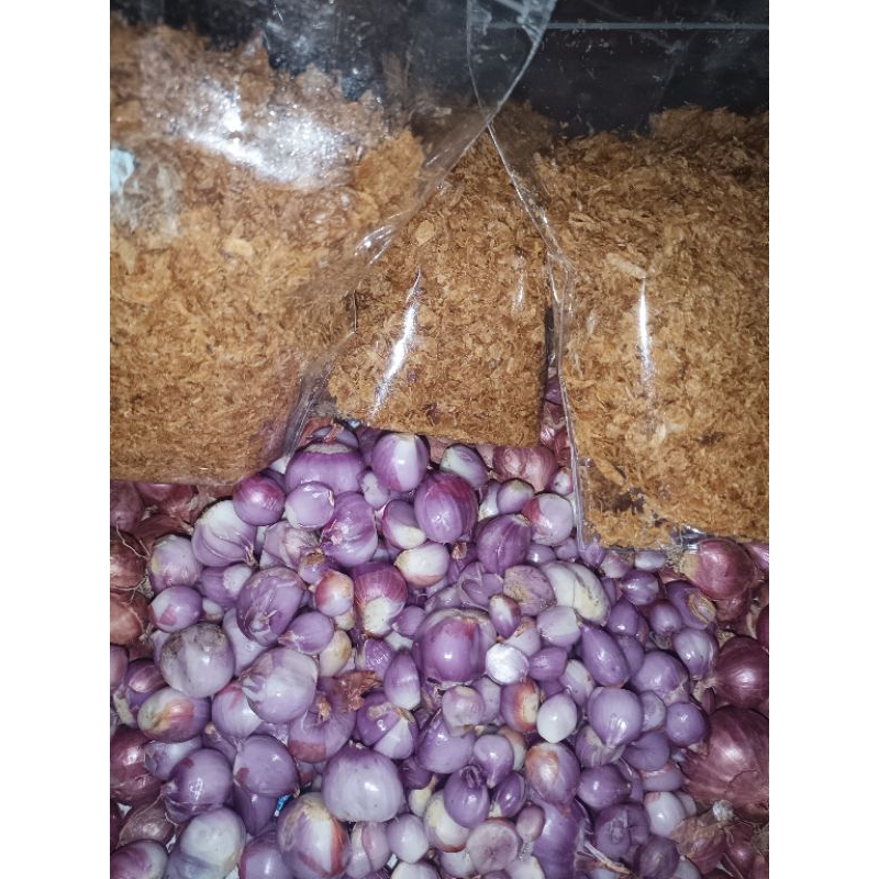 

Bawang goreng