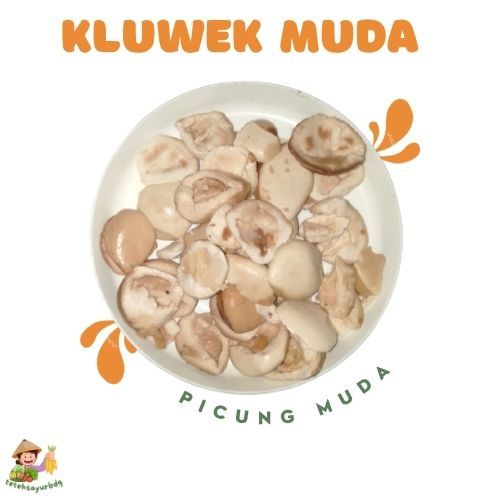 KLUWEK MUDA PICUNG MUDA SAYUR PICUNG SAYUR KLUWEK MUDA