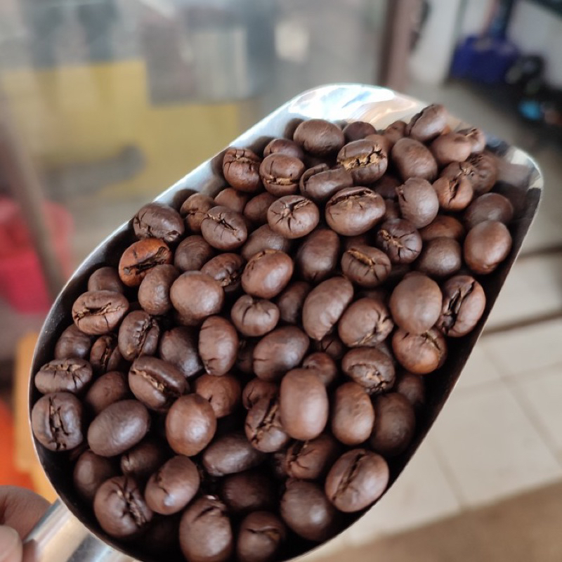 

Biji Kopi Lanang Peabeery Robusta Temanggung 100 g
