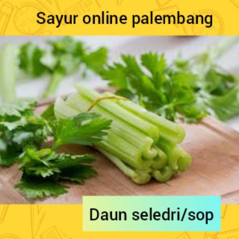 

Daun Sop Seledri 100gram - Pasar Sayur Segar Fresh Online Palembang