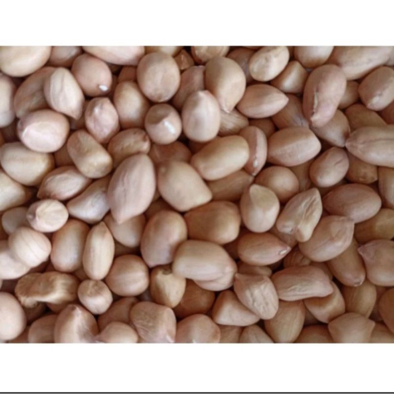 

Kacang tanah mentah 1/4kg /250gram