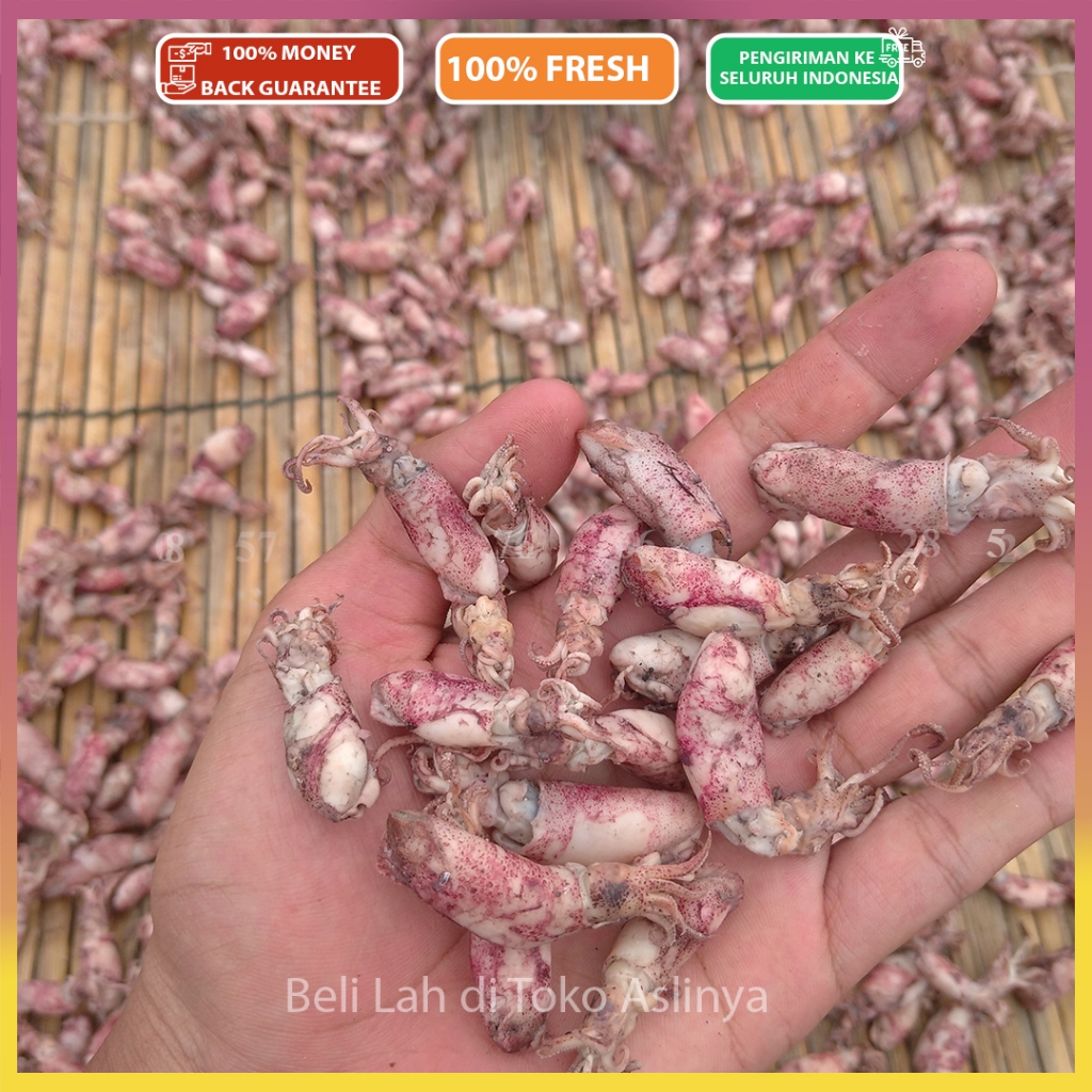 

Cumi Asin Rebus Ukuran Baby, Medium 4-7Cm, Jumbo 6-9Cm / 250gr - 500gr / Ikan Asin Jakarta / Sontong Rebus Mentah Siap Masak