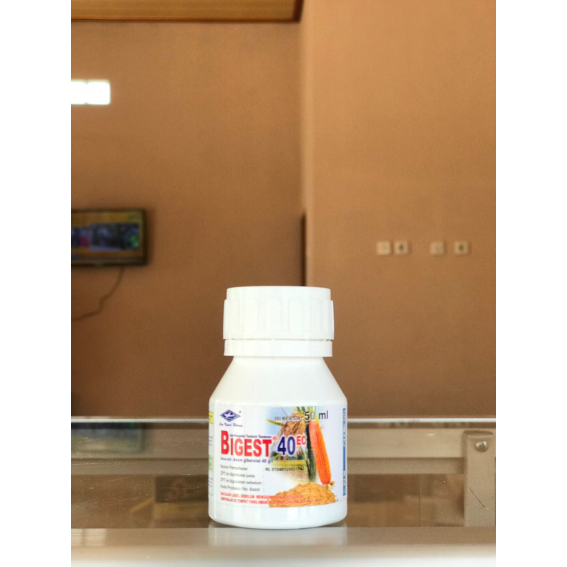 BIGEST 40 EC 50ML ZPT