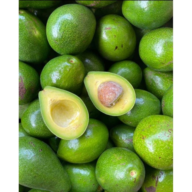 

Alpukat Mentega Lampung 1kg