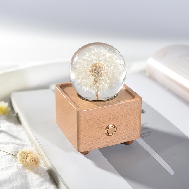 Preserved Flower Bluetooth Speaker - The Beginning Indonesia - Kado Pacar Sahabat Pasangan Cewek Cewe - Untuk Ulang Tahun Anniversary