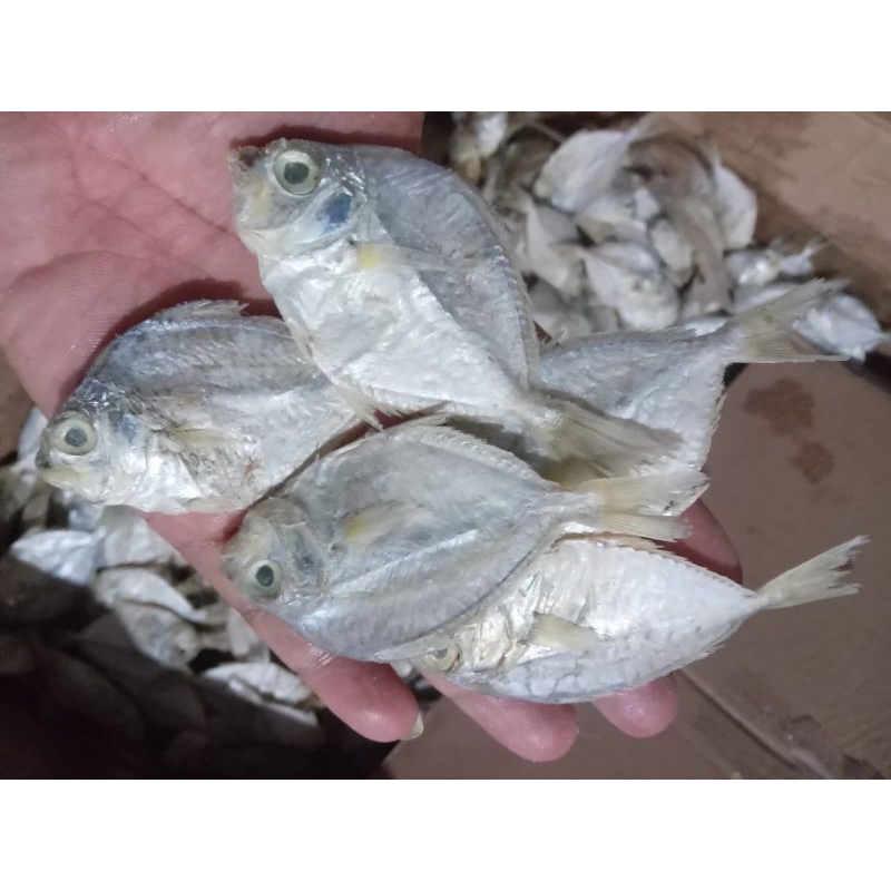 

ikan asin petek kecil ampak murah 100 gram