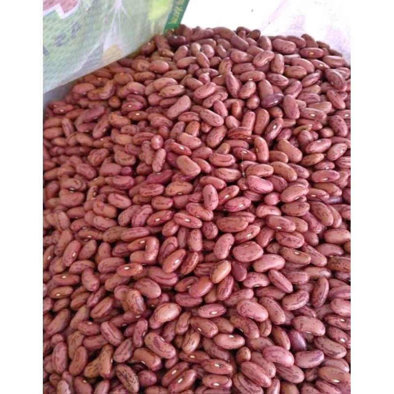 

kacang merah kering 1kg an bersih tanpa kutu