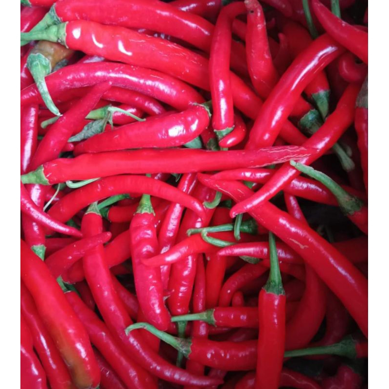 

cabai merah besar 500gr