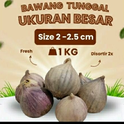 

Bawang Putih Tunggal Lanang Besar BESAR 1KG/ fresh import