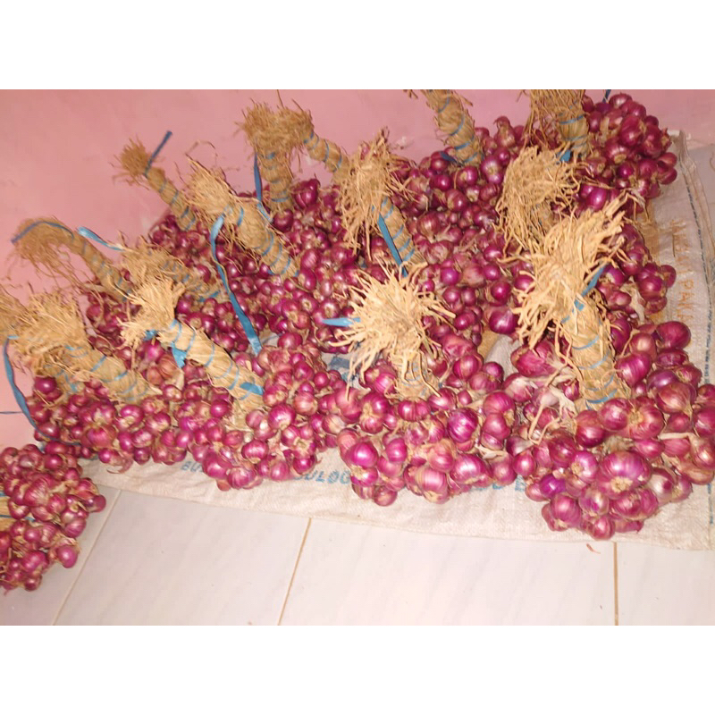 

Bawang merah gending probolinggo