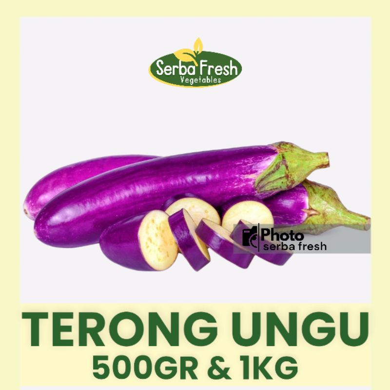 

TERONG UNGU | 500GR & 1KG | SERBA FRESH