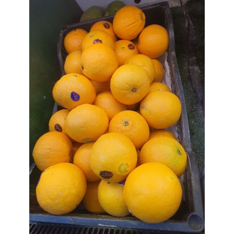 

Sunkist Navel USA