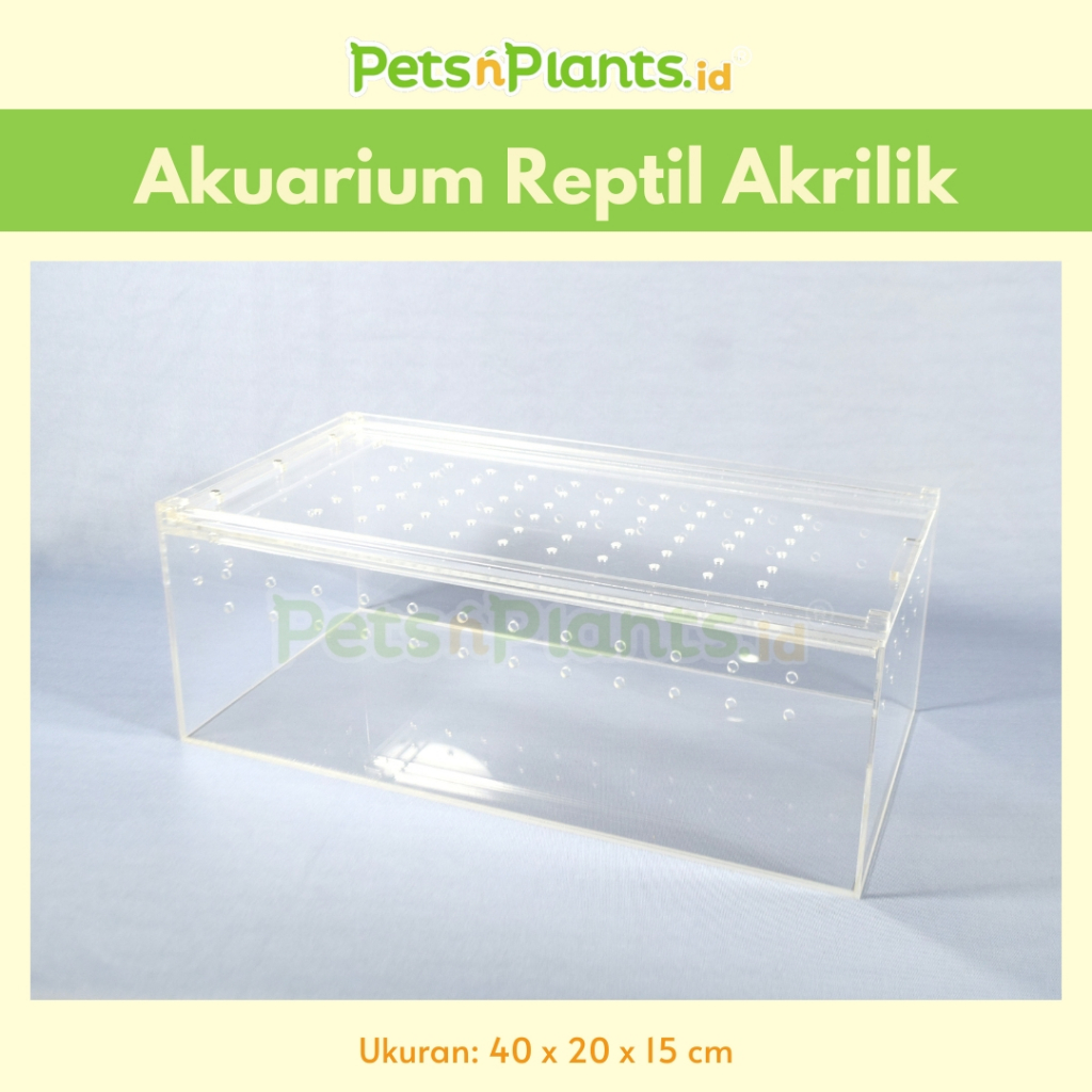 Acrylic Reptile Cage - Kandang Reptil Kura Kura Katak Kodok Hias Iguana Ular Gecko Vivarium Akuarium