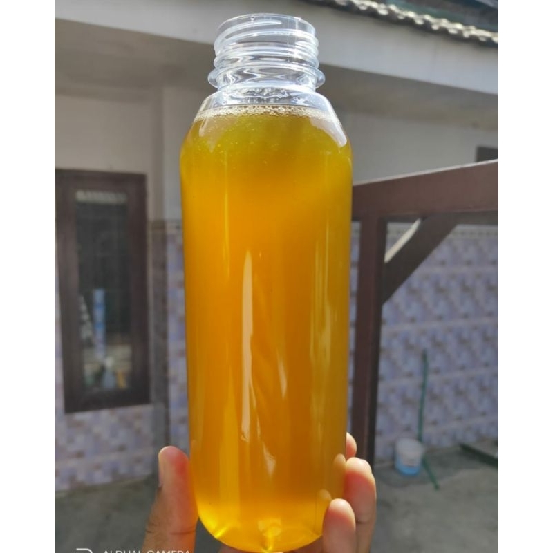 

Madu Hutan Asli (Apis Dorsata)