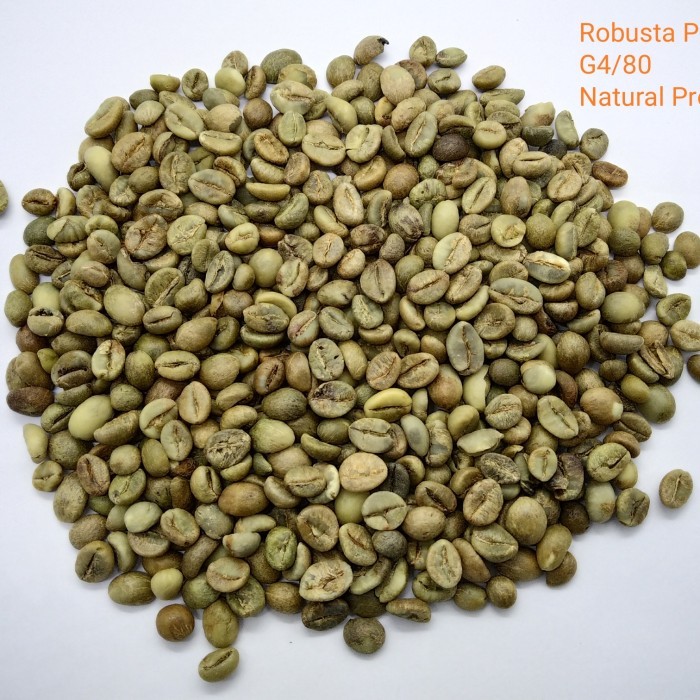 

GRADE 1 (Robusta) Green Bean Coffee / Biji Kopi Mentah