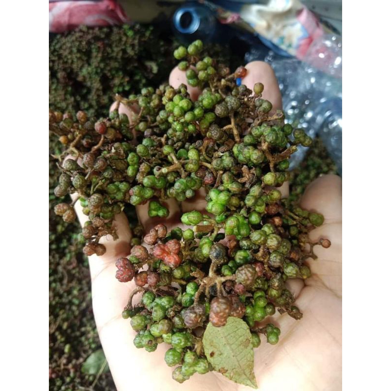 

andeliman bumbu kas batak