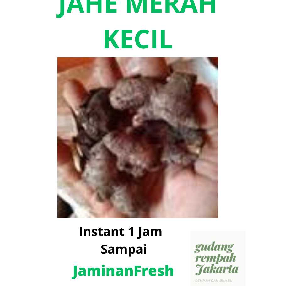 

➻➶✱✼ JAHE MERAH KECIL 1 KILOGRAM