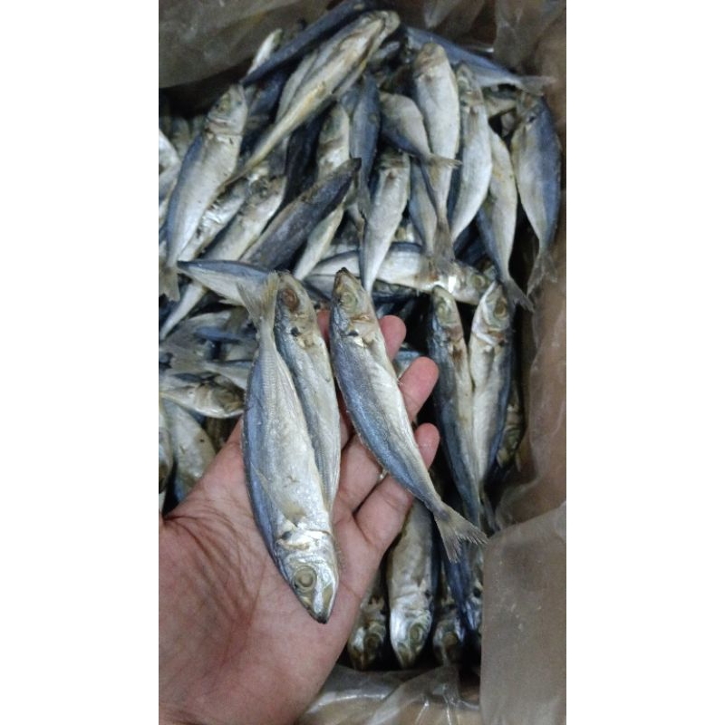 

ikan asin japuh 100 gr