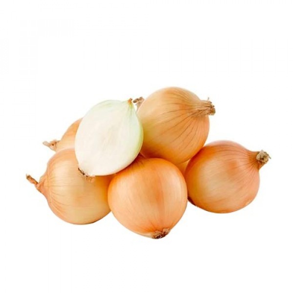 

bawang bombai