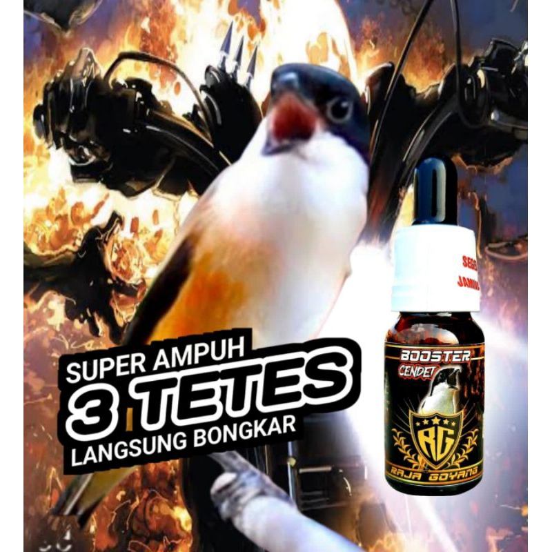 BOOSTER CENDET/ PENGGACOR CENDET/DOPING CENDET